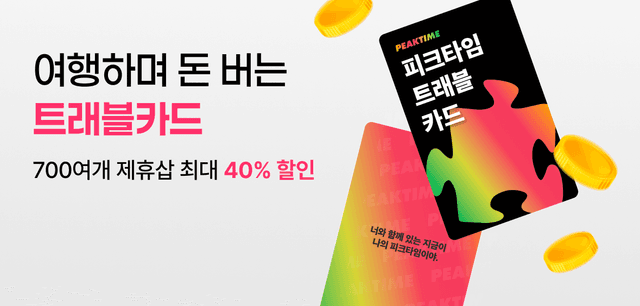 여행하며 돈 버는 트래블카드